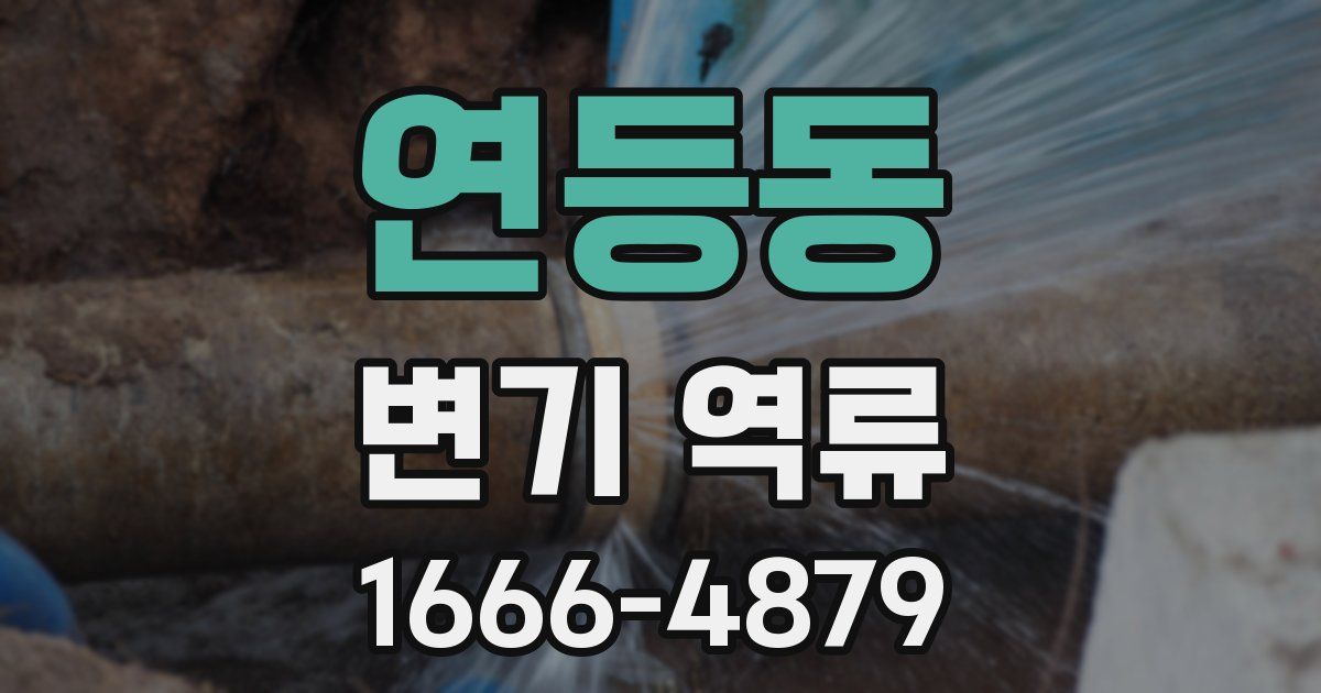 연등동 변기 역류
