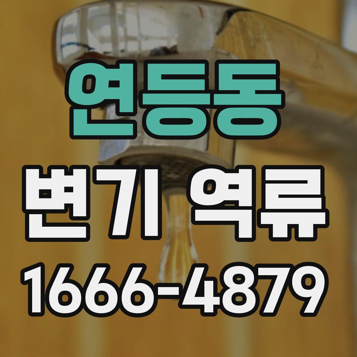 연등동 변기 역류