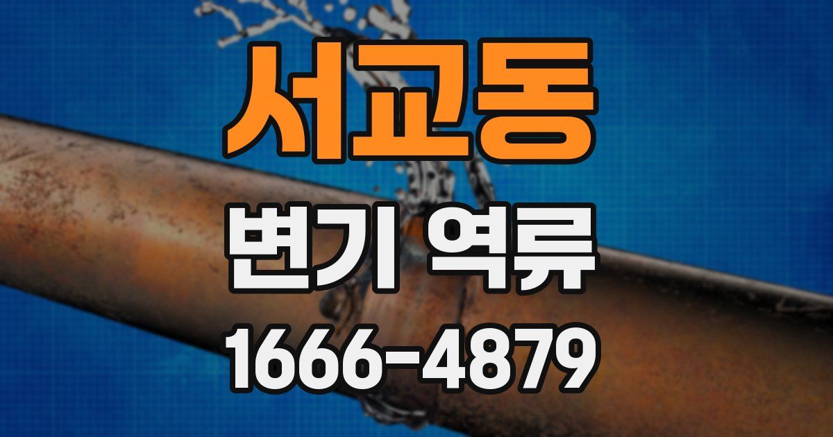 서교동 변기 역류