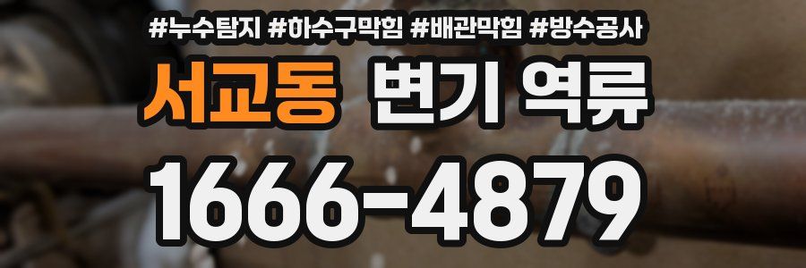 서교동 변기 역류