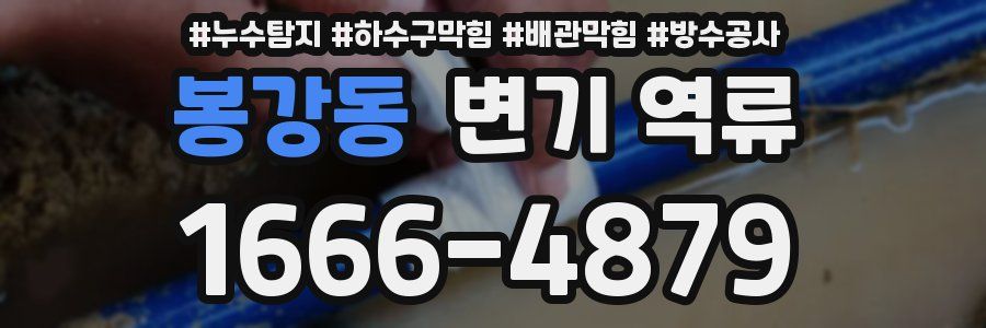 봉강동 변기 역류
