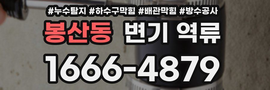 봉산동 변기 역류