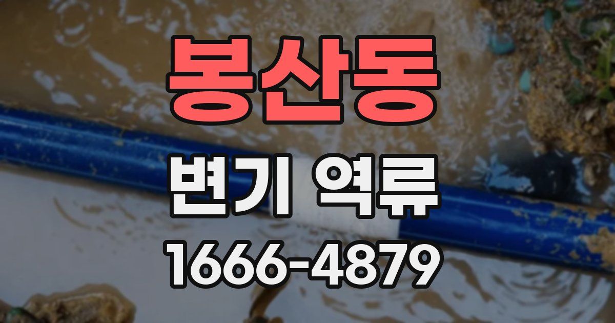 봉산동 변기 역류
