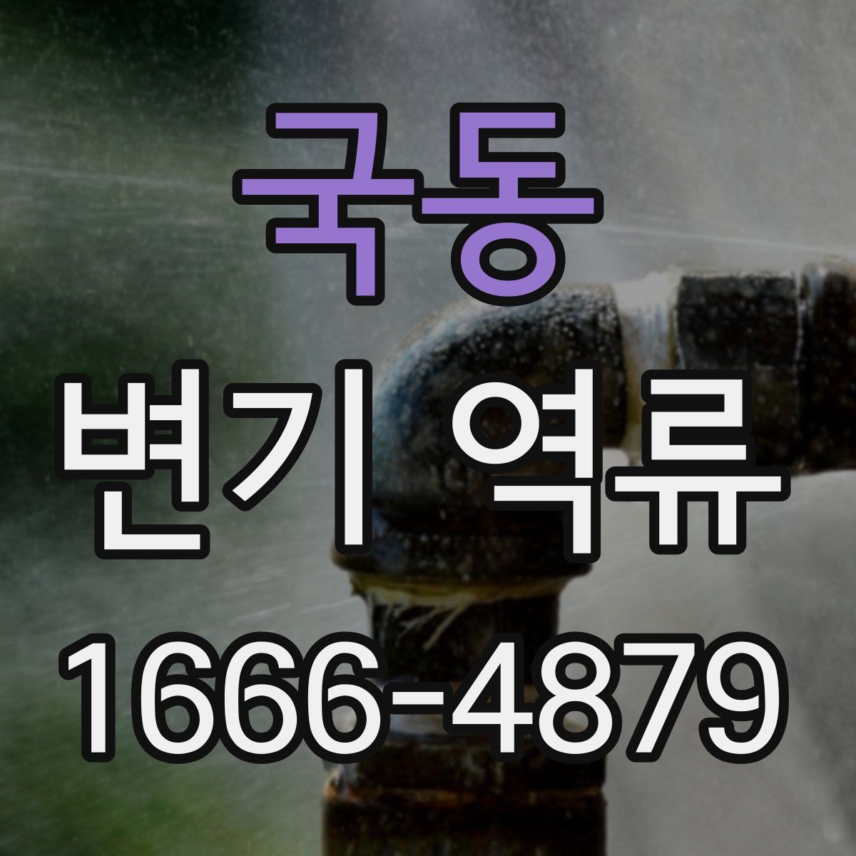 국동 변기 역류