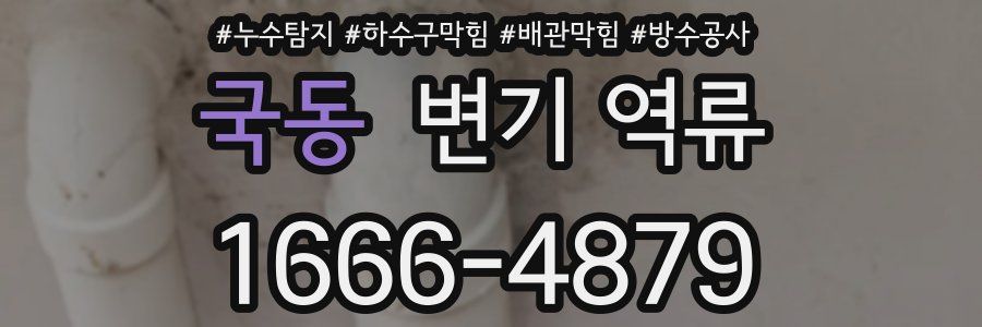 국동 변기 역류
