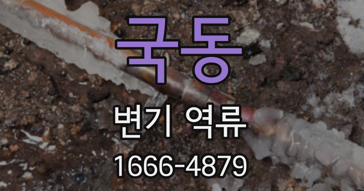 국동 변기 역류
