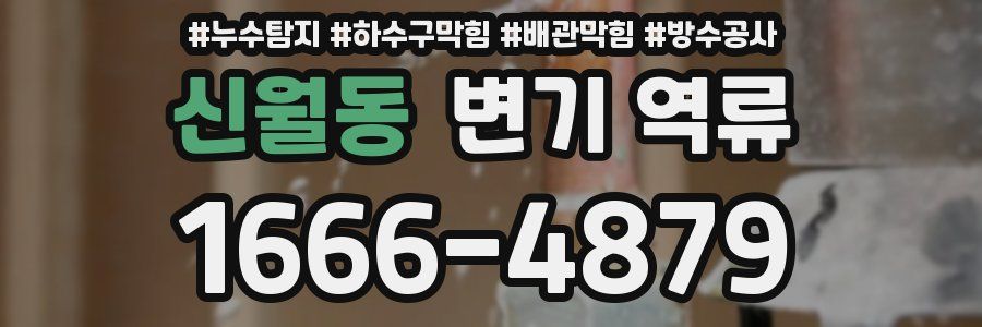 신월동 변기 역류