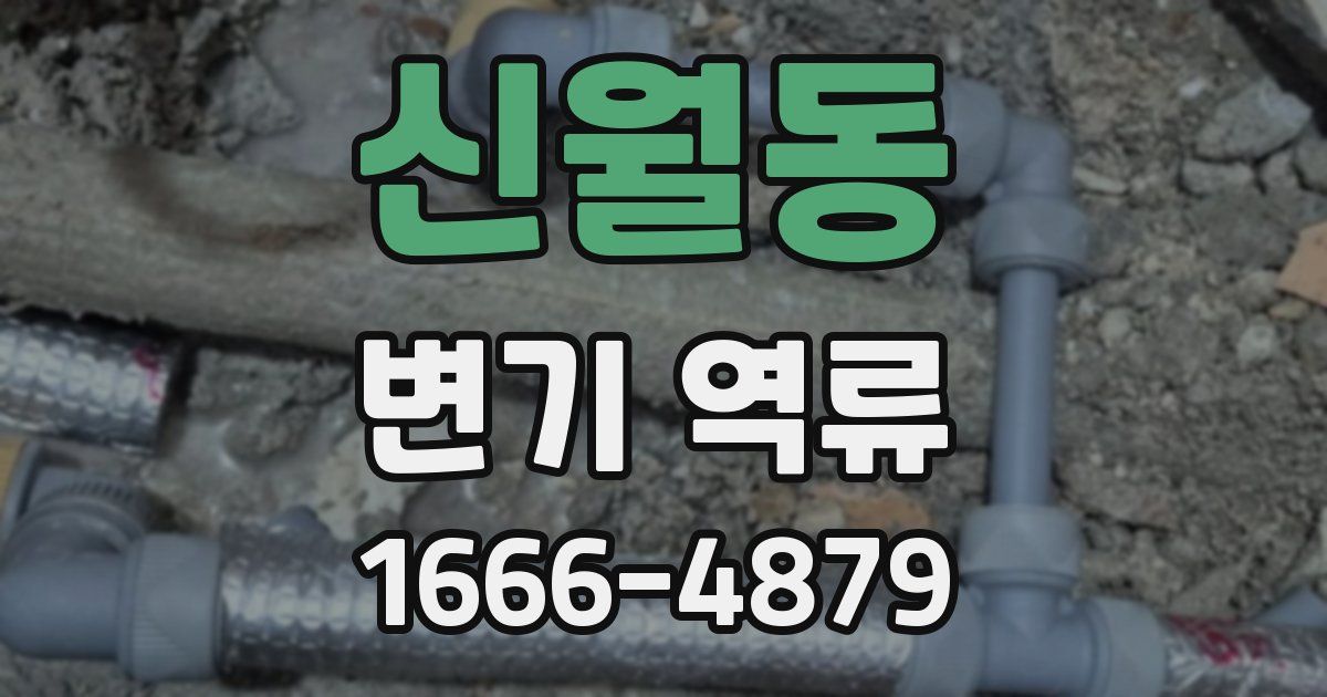 신월동 변기 역류
