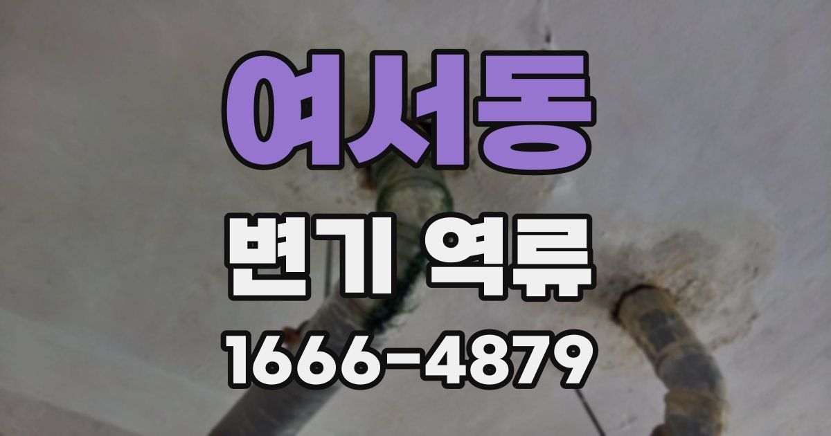 여서동 변기 역류