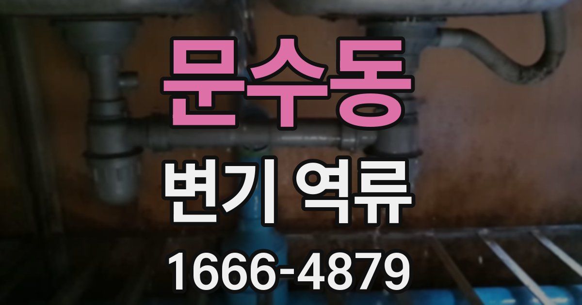 문수동 변기 역류