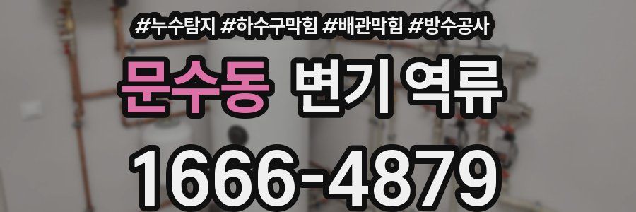 문수동 변기 역류
