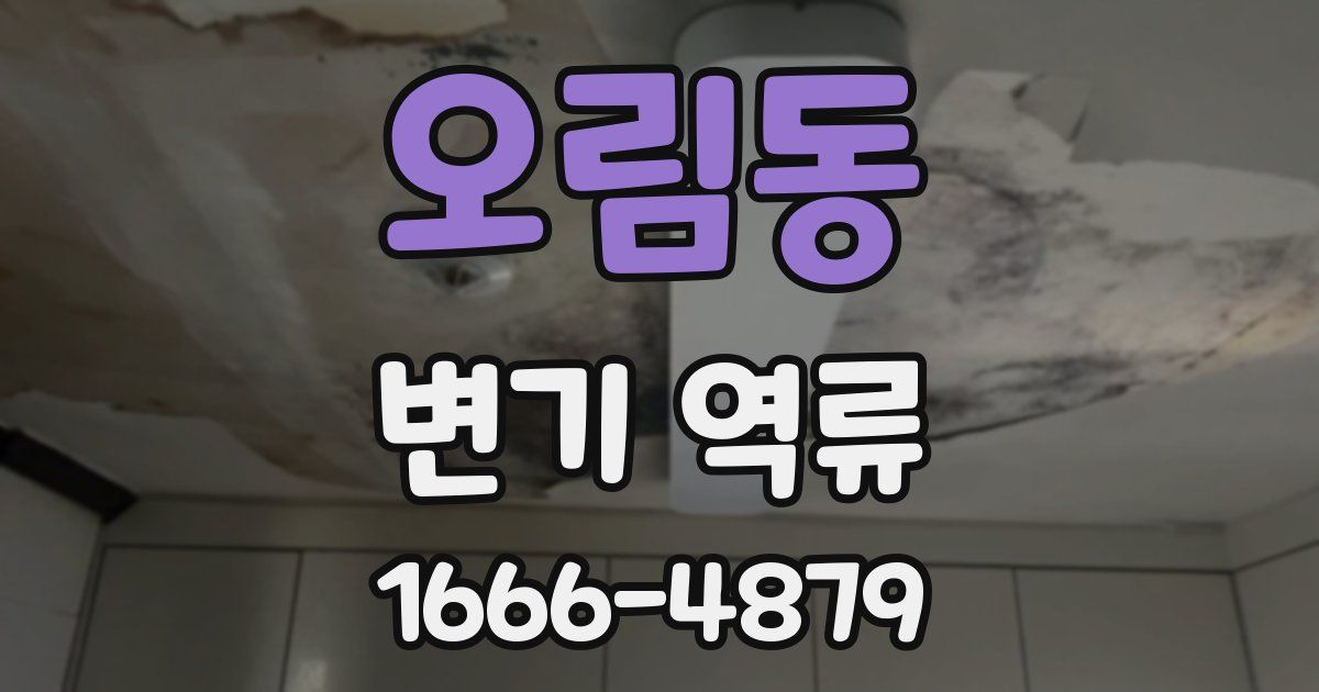 오림동 변기 역류