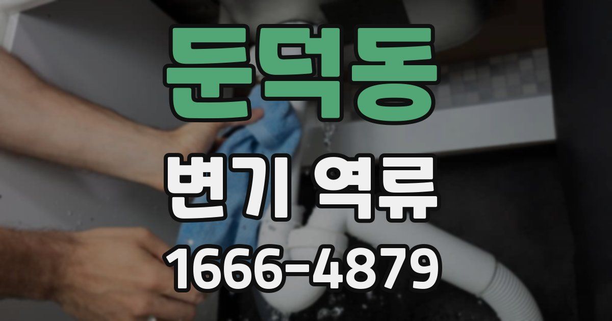 둔덕동 변기 역류