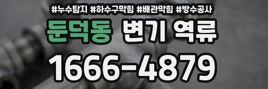 둔덕동 변기 역류