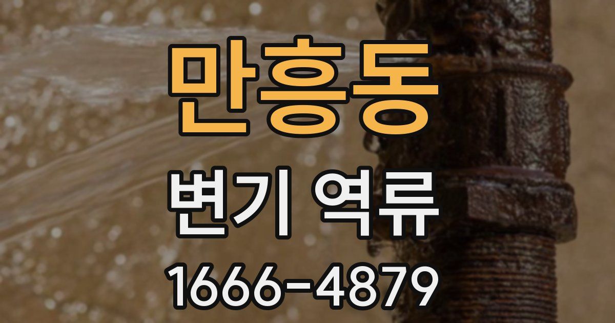 만흥동 변기 역류