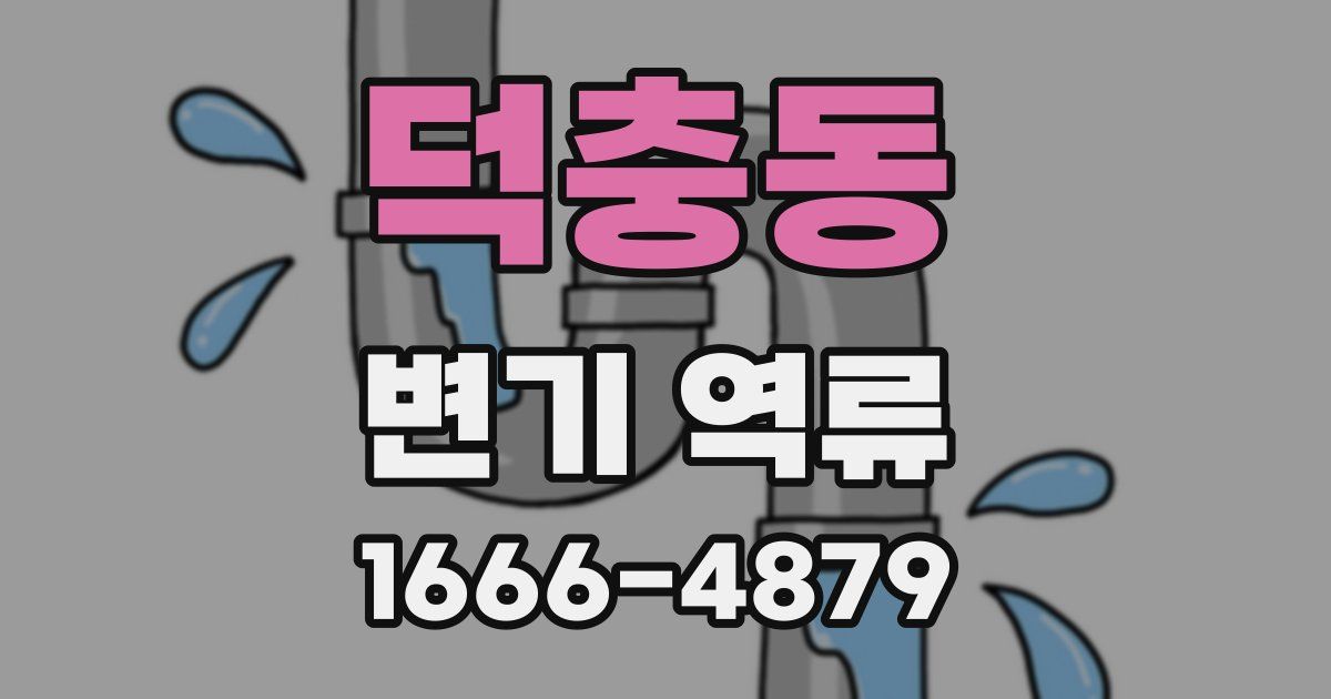 덕충동 변기 역류