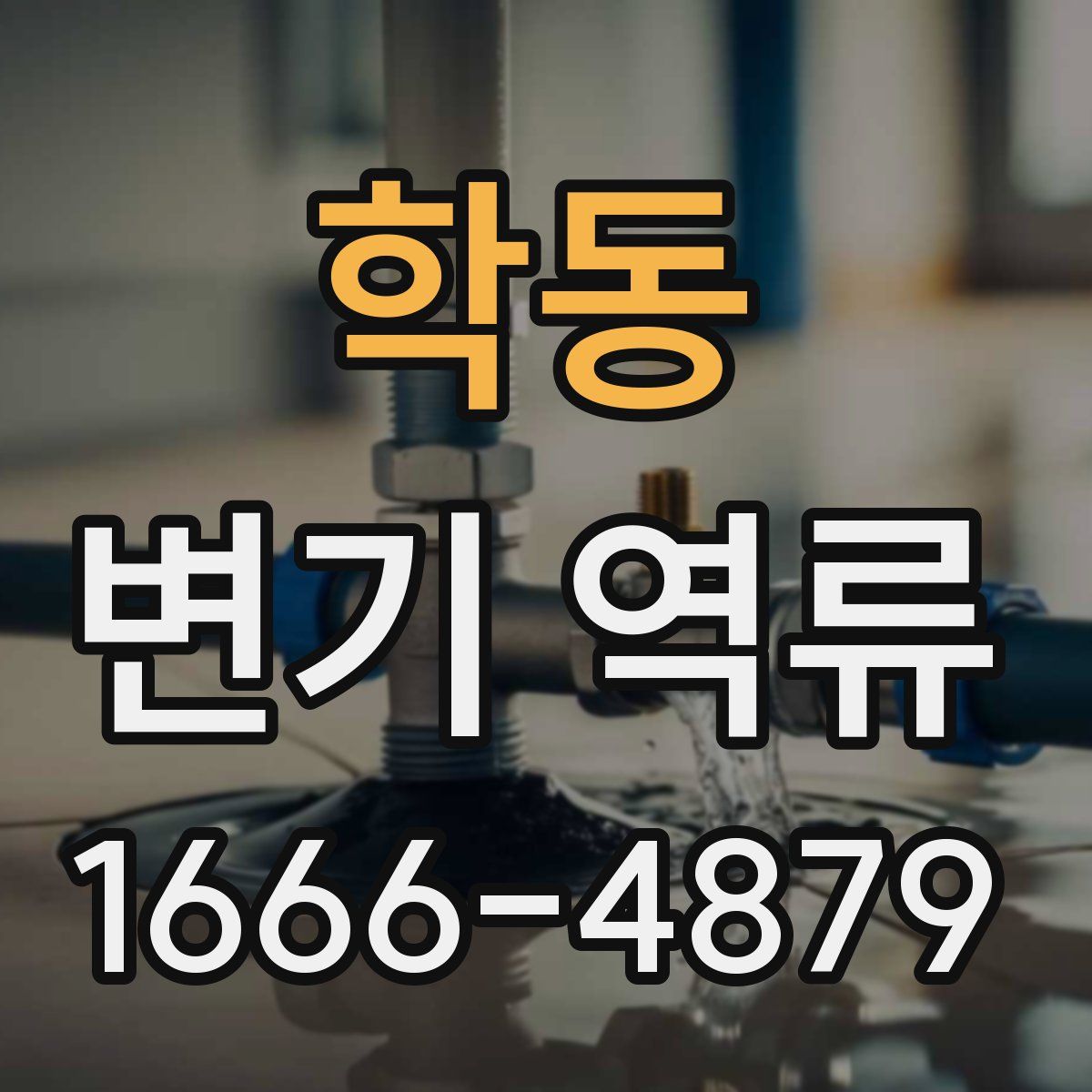 학동 변기 역류