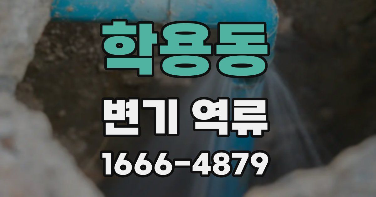 학용동 변기 역류