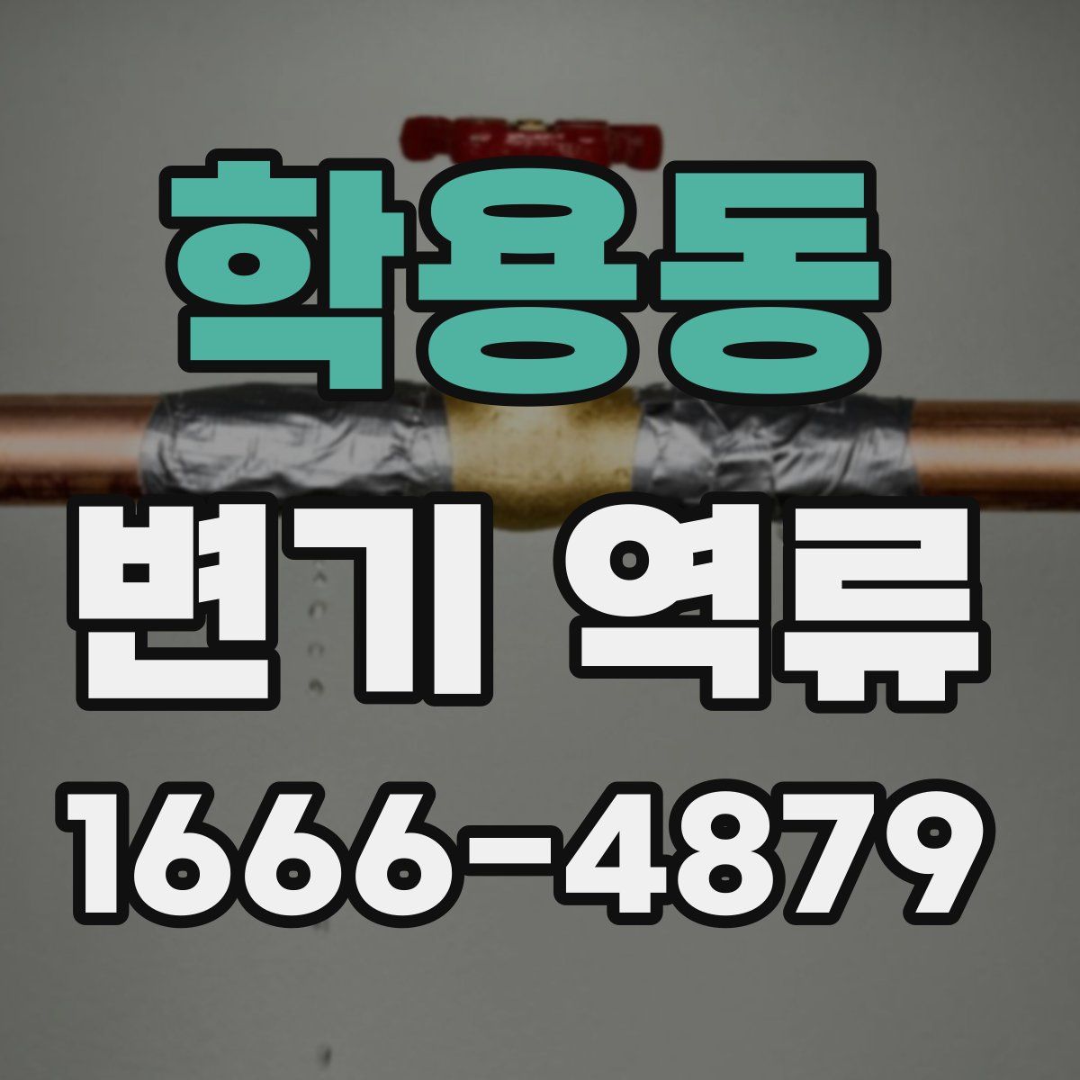 학용동 변기 역류