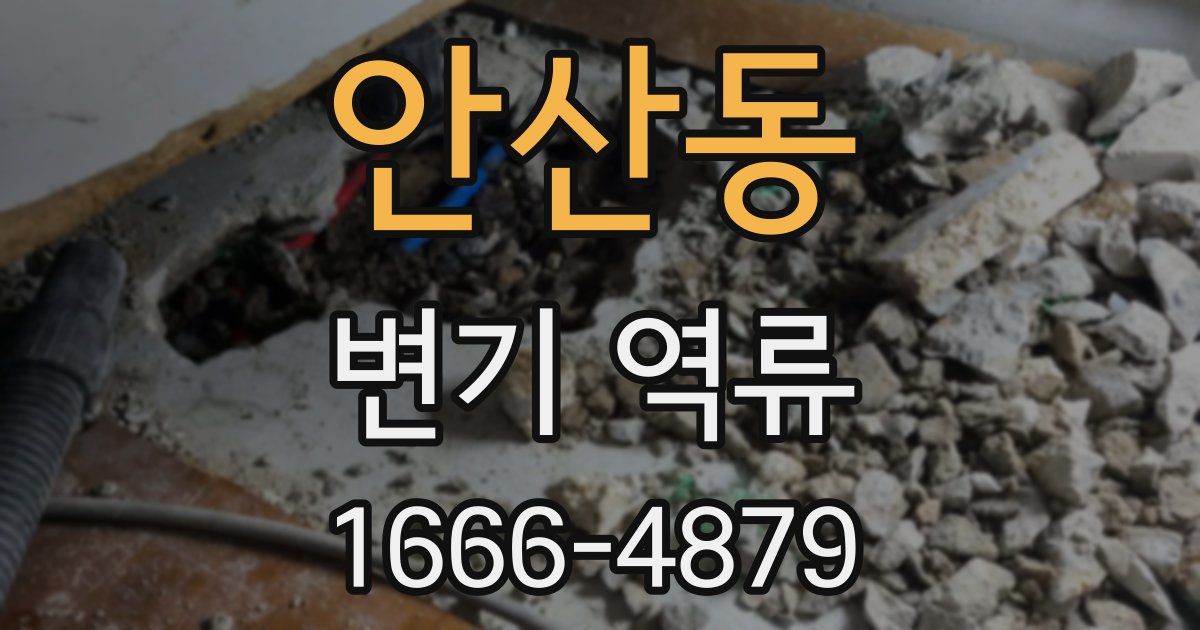 안산동 변기 역류