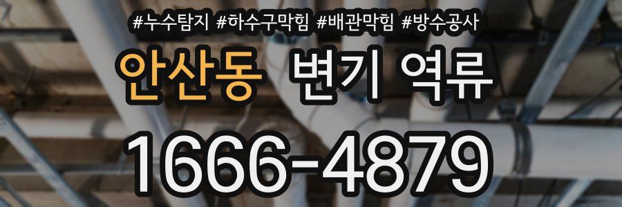 안산동 변기 역류
