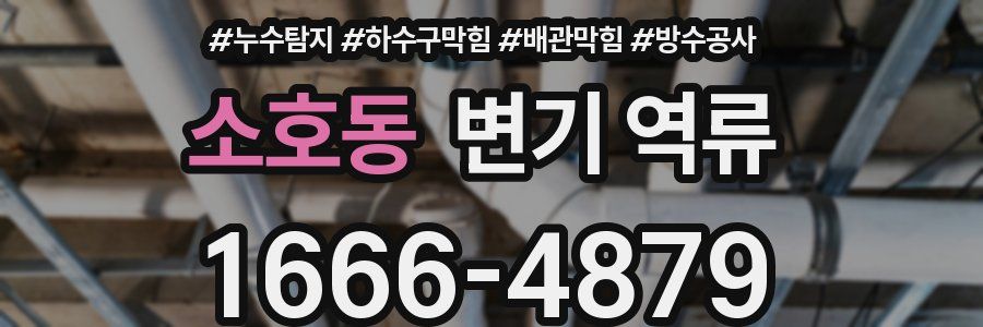 소호동 변기 역류