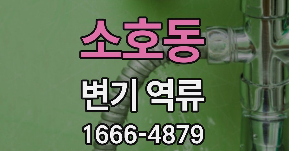 소호동 변기 역류