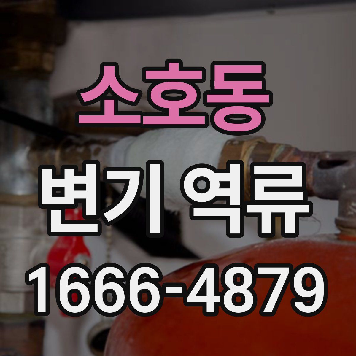 소호동 변기 역류