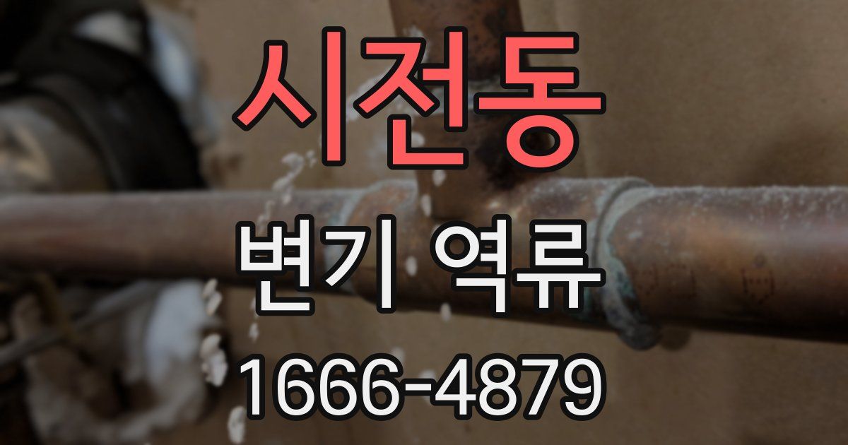 시전동 변기 역류