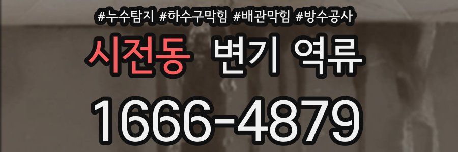시전동 변기 역류