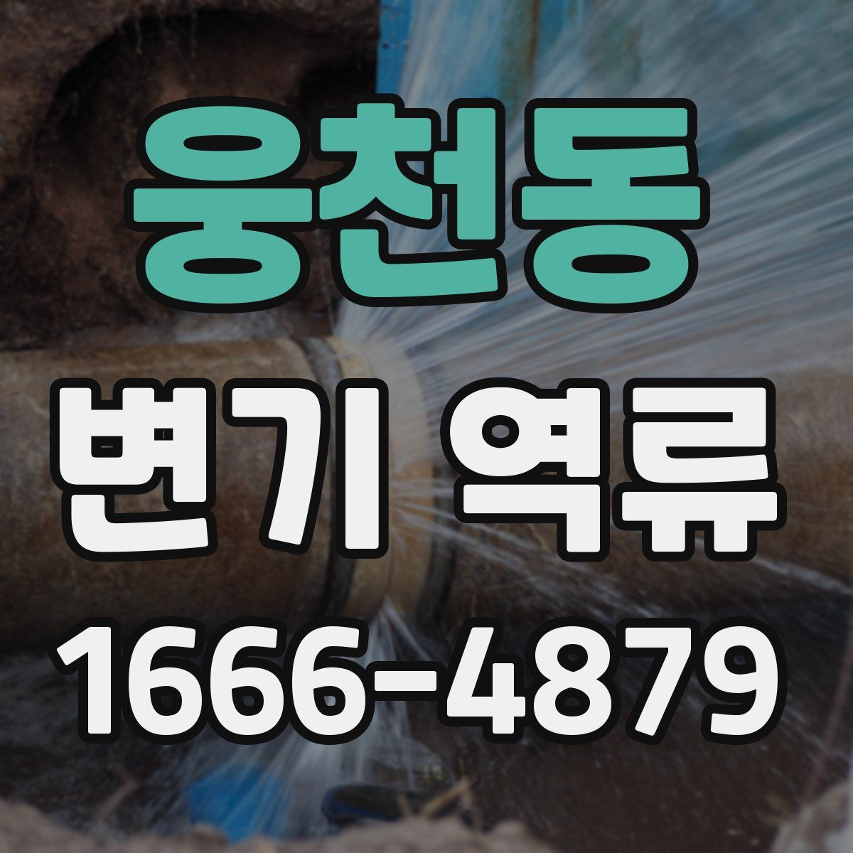 웅천동 변기 역류