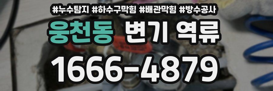웅천동 변기 역류