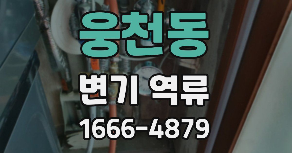 웅천동 변기 역류