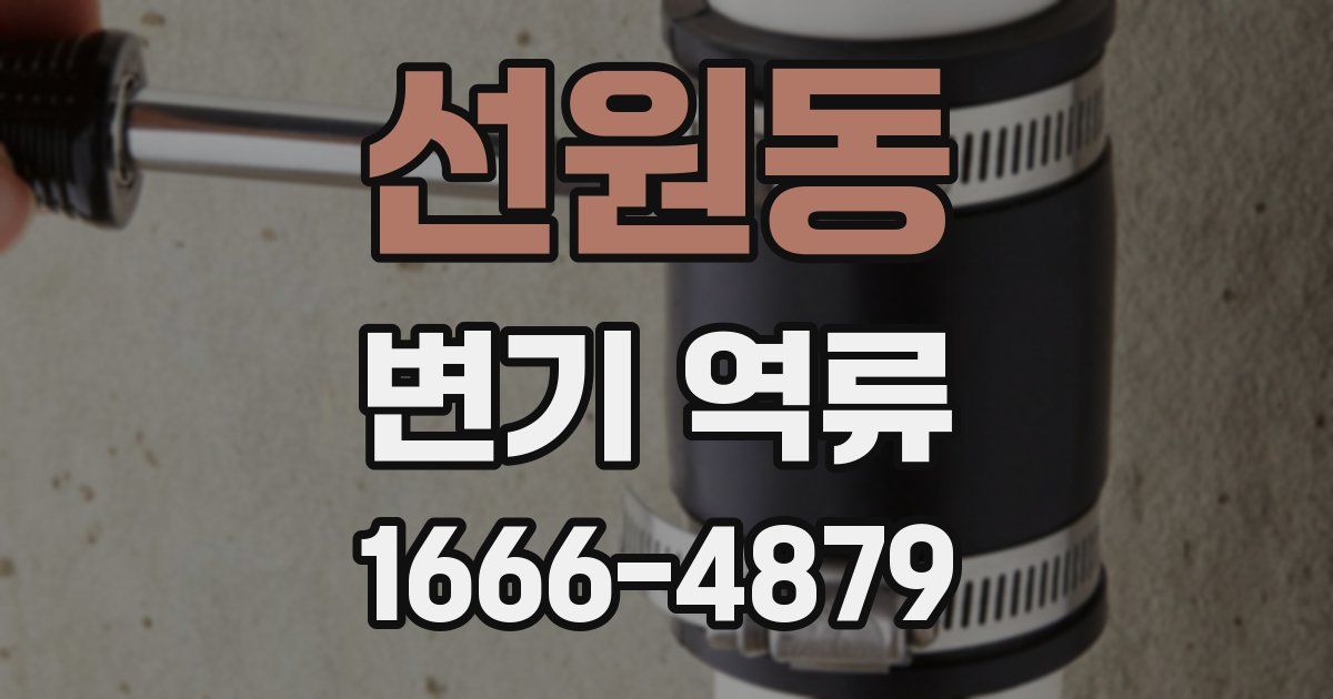 선원동 변기 역류