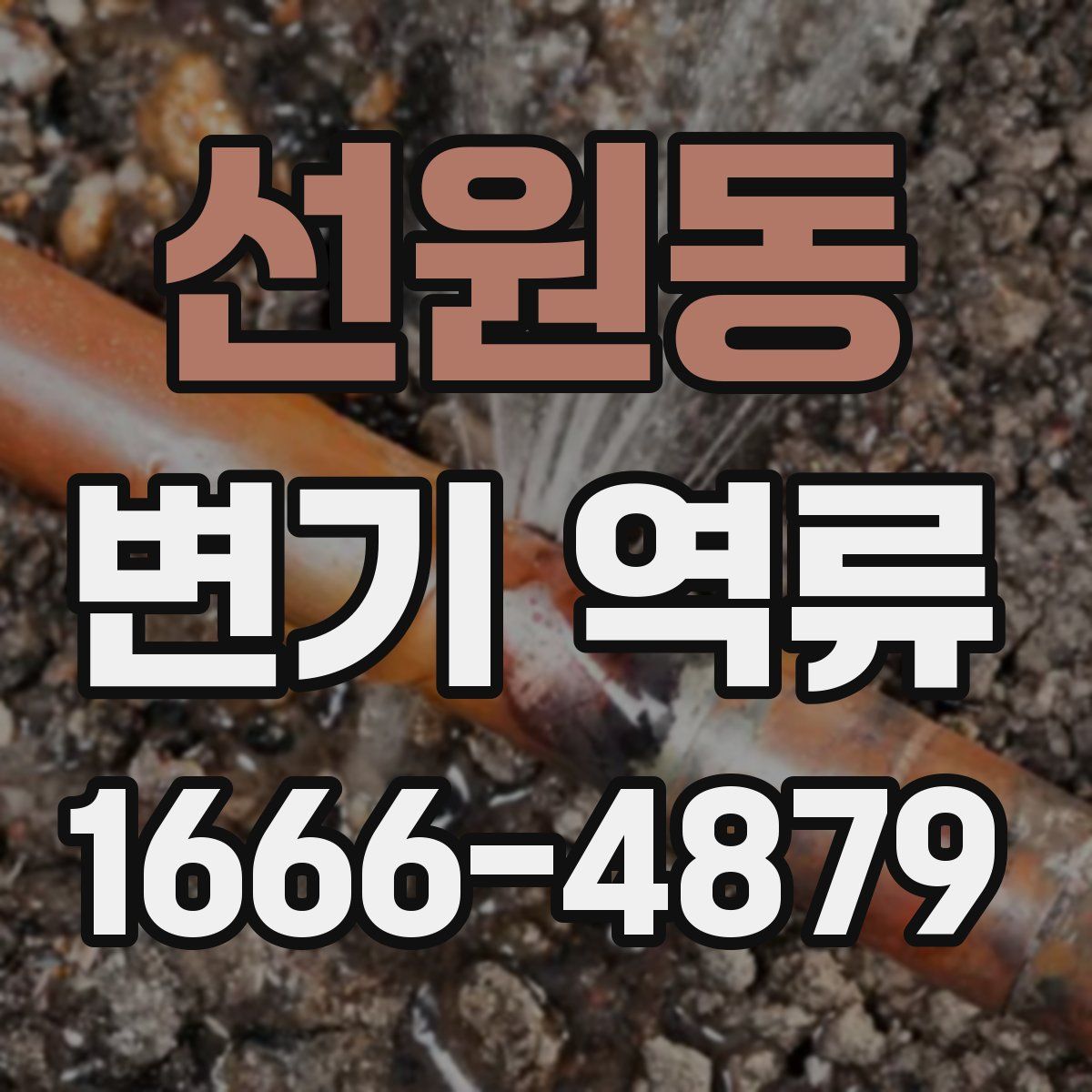 선원동 변기 역류