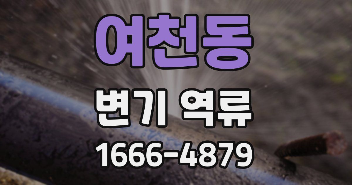 여천동 변기 역류