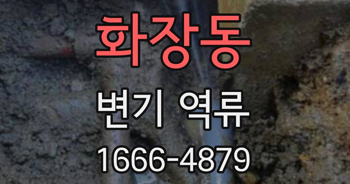 화장동 변기 역류