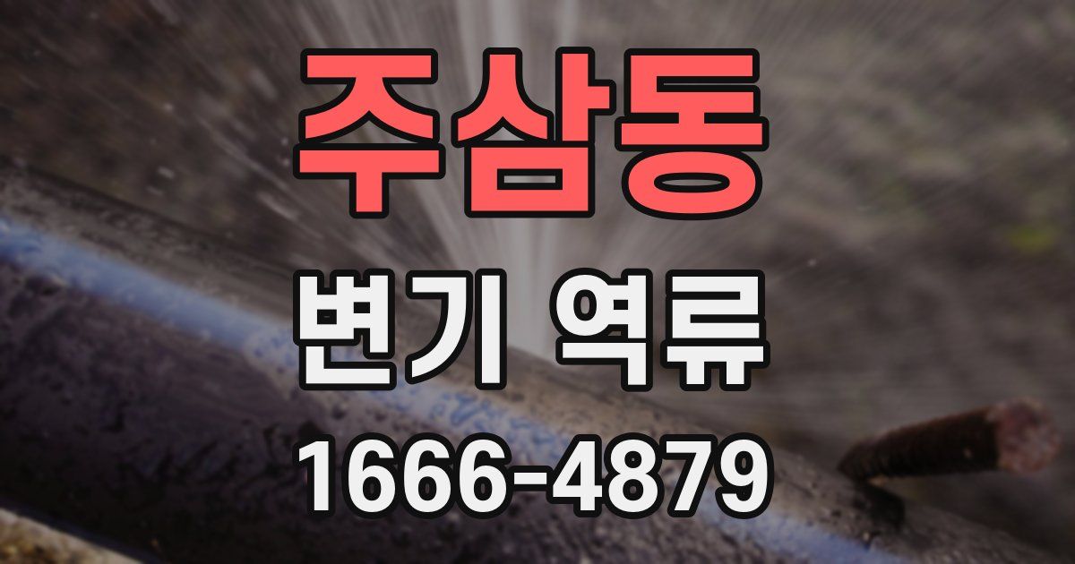 주삼동 변기 역류