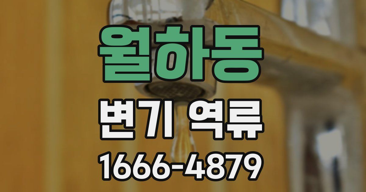 월하동 변기 역류