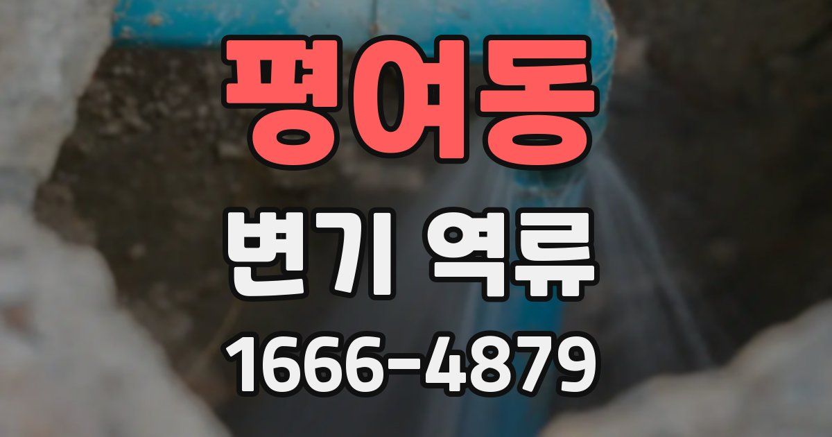평여동 변기 역류