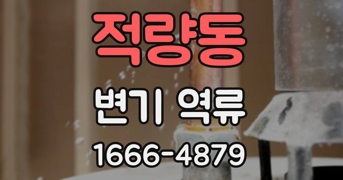 적량동 변기 역류