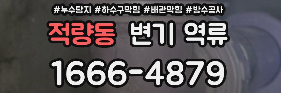 적량동 변기 역류