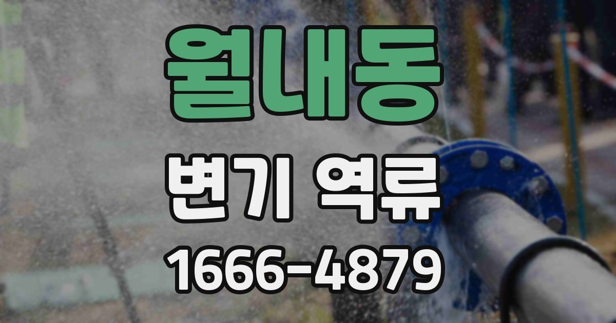 월내동 변기 역류