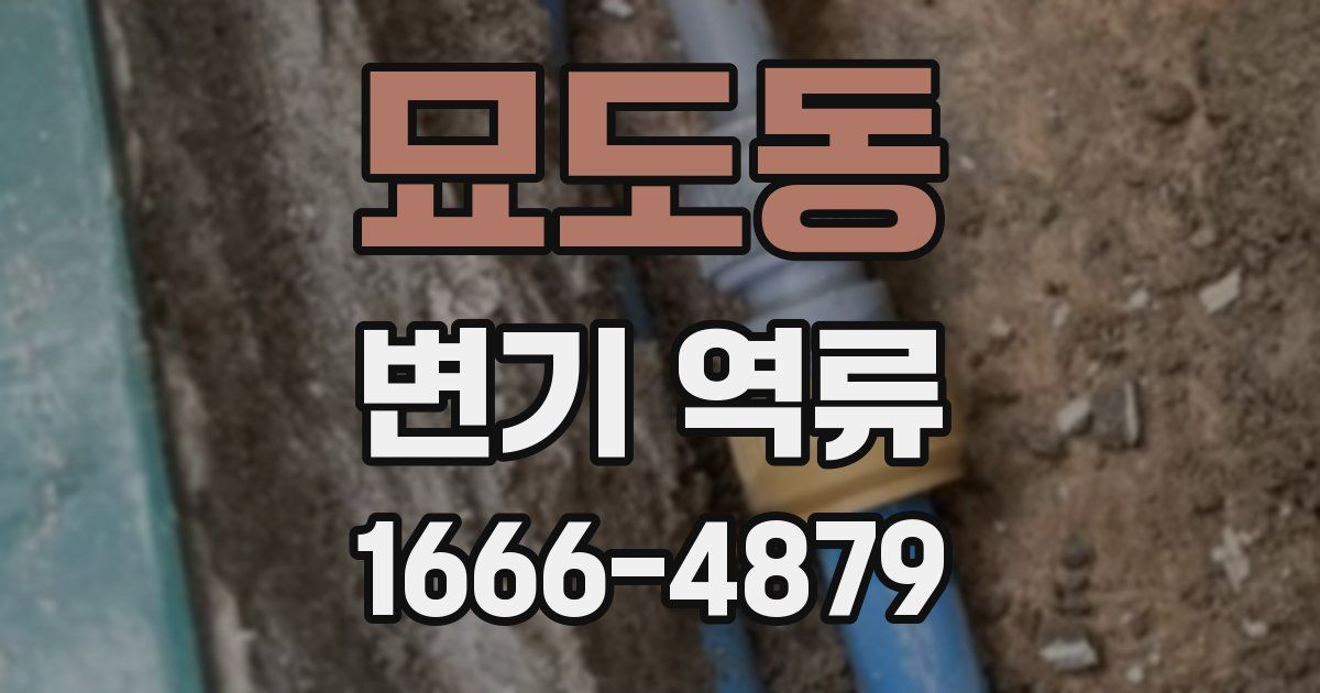 묘도동 변기 역류