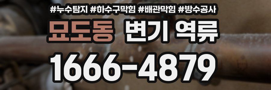 묘도동 변기 역류