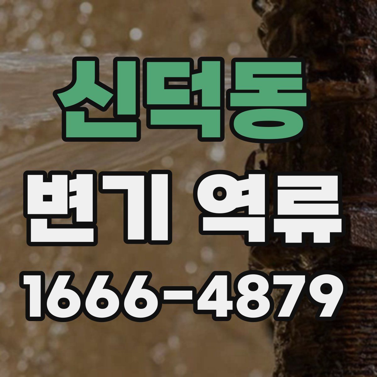 신덕동 변기 역류