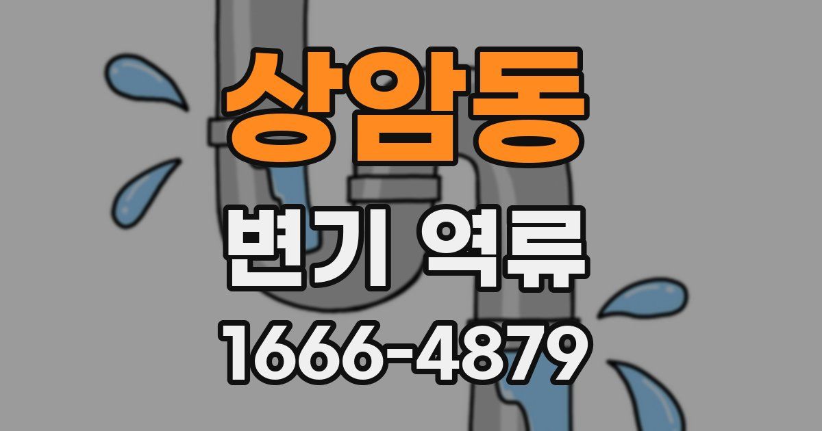 상암동 변기 역류