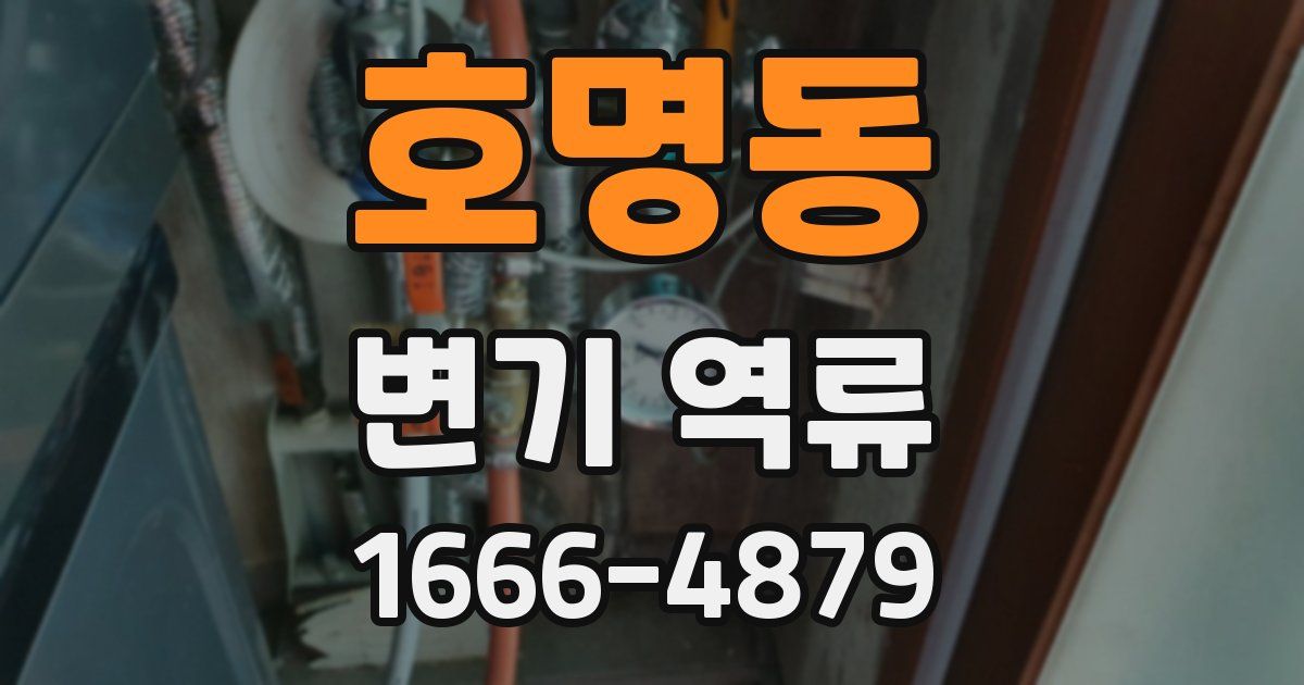 호명동 변기 역류
