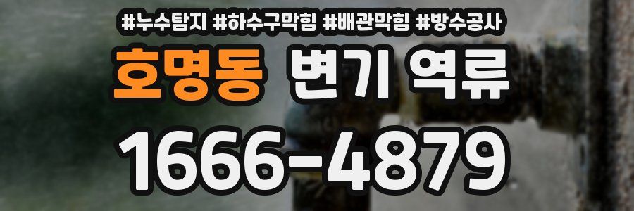 호명동 변기 역류