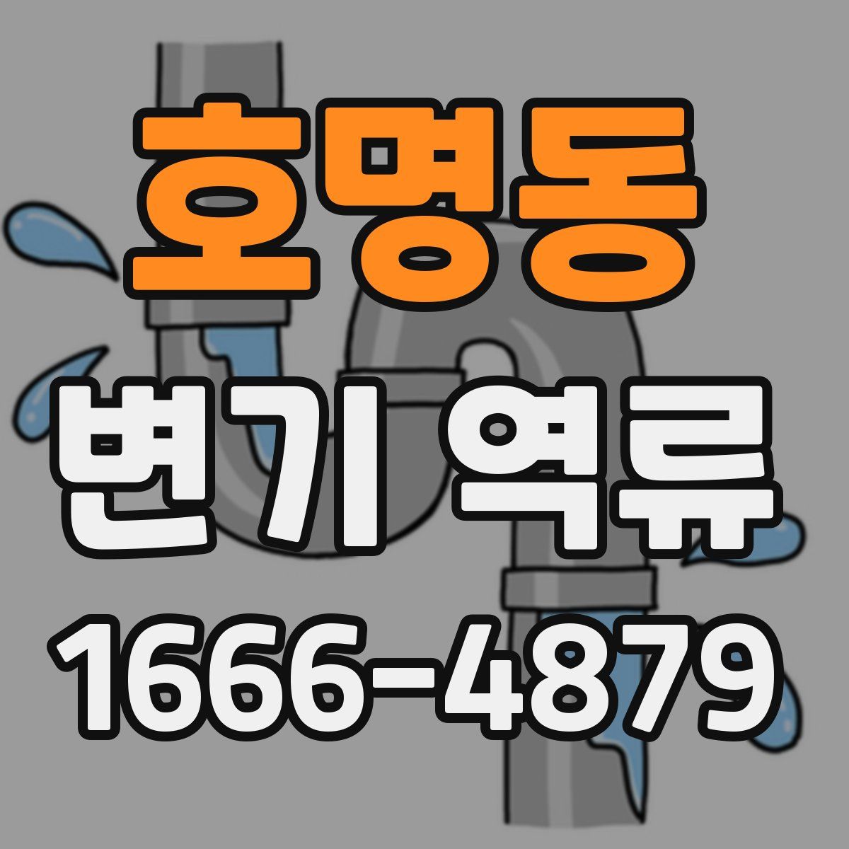 호명동 변기 역류